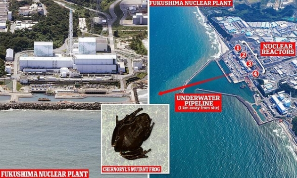 Fukushima Radioactive Wastewater Released into Ocean May Produce Mutant Animals