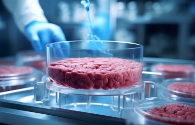 US State of Florida set to Ban Artificial Lab Meat due to Health Concerns