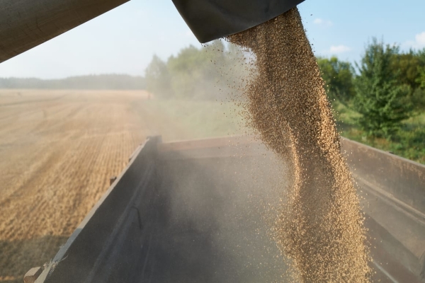 Poland’s next government to keep ban on Ukrainian grain imports