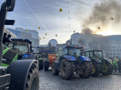 Farmers call for ‘fair prices’ and set fires in Brussels protest