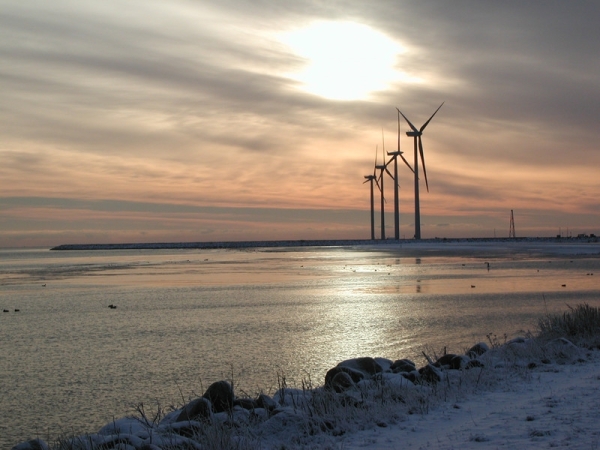 EU auditors: Offshore wind farms pose ‘green dilemma’