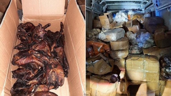 African Migrant Arrested for Smuggling Fried Bats into Germany