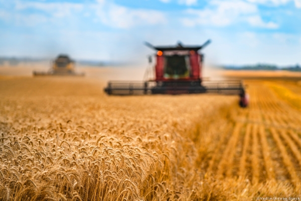 Agriculture: Record value of EU agri-food trade in November 2022